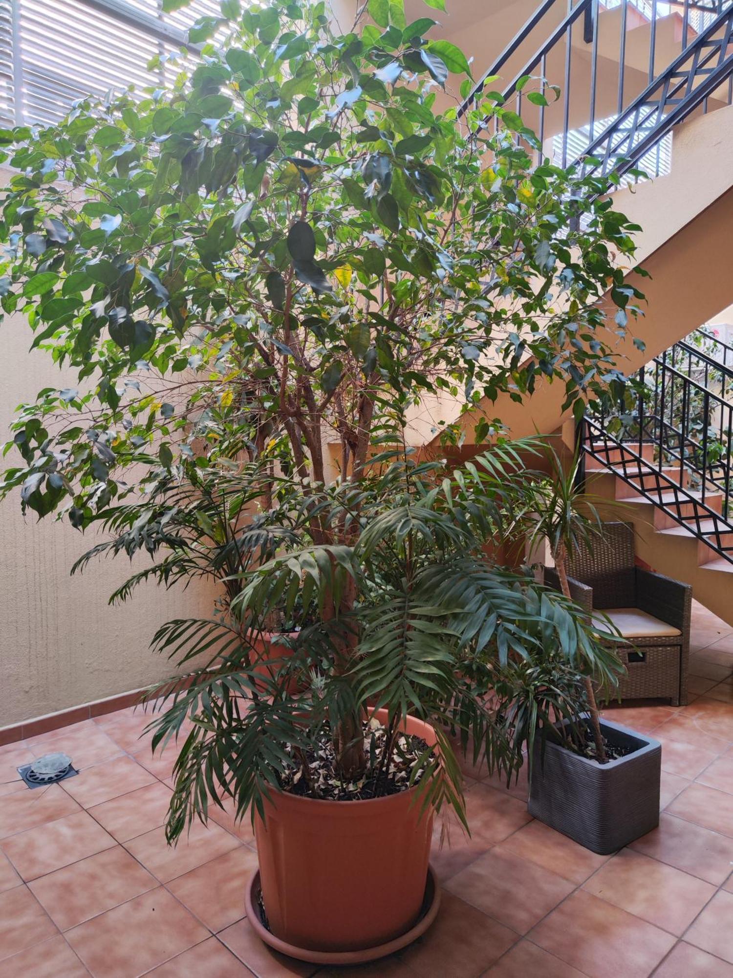 Malaga Experience Apartman Kültér fotó